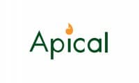 Apical